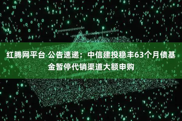 红腾网平台 公告速递：中信建投稳丰63个月债基金暂停代销渠道大额申购