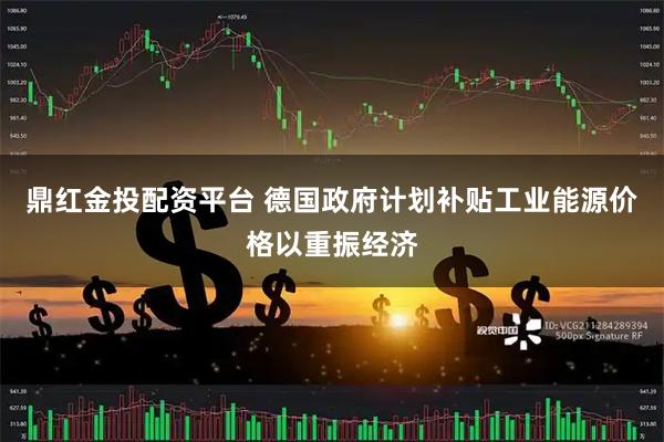 鼎红金投配资平台 德国政府计划补贴工业能源价格以重振经济
