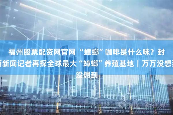 福州股票配资网官网 “蟑螂”咖啡是什么味？封面新闻记者再探全球最大“蟑螂”养殖基地｜万万没想到